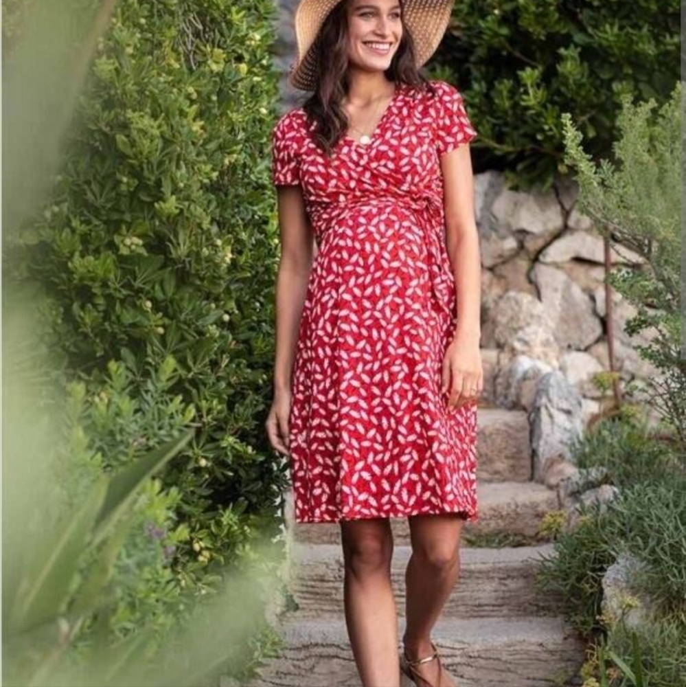 Seraphine Red Daisy Nursing Dress